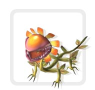 The Assist Family Guide