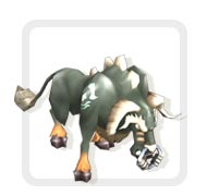 The Assist Family Guide